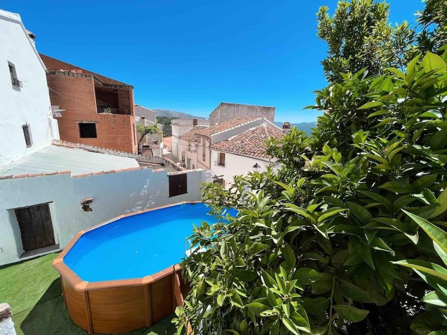 La Palmera. Casa Rural Con Piscina Privada. Benadalid Exteriér fotografie